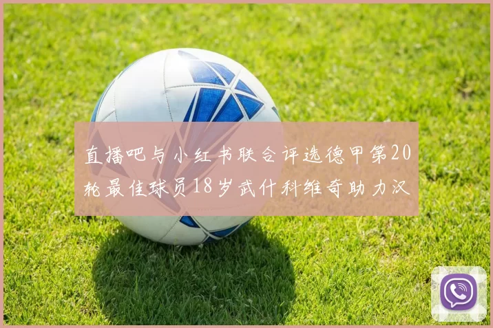 直播吧与小红书联合评选德甲第20轮最佳球员18岁武什科维奇助力汉堡逼平拜仁