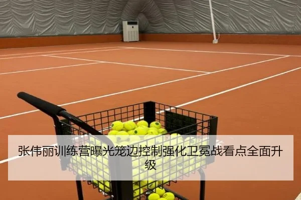张伟丽训练营曝光笼边控制强化卫冕战看点全面升级